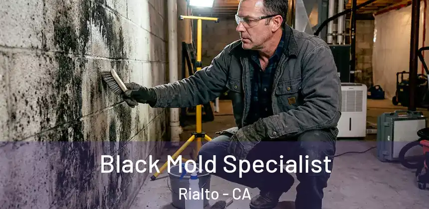 Black Mold Specialist Rialto - CA