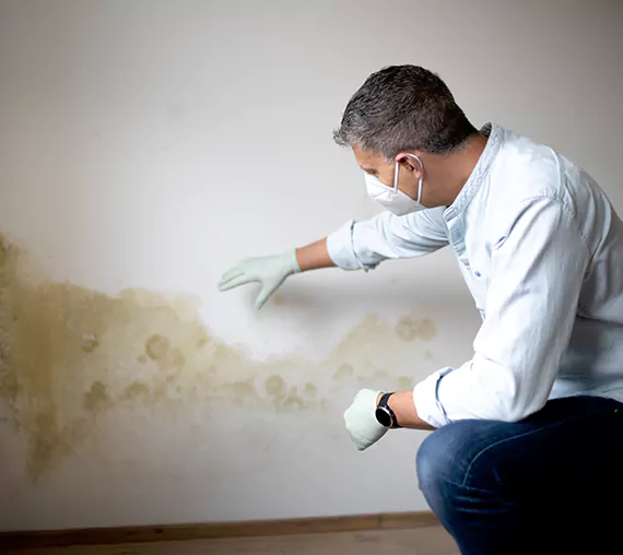 Mold Removal Service in Rialto, CA