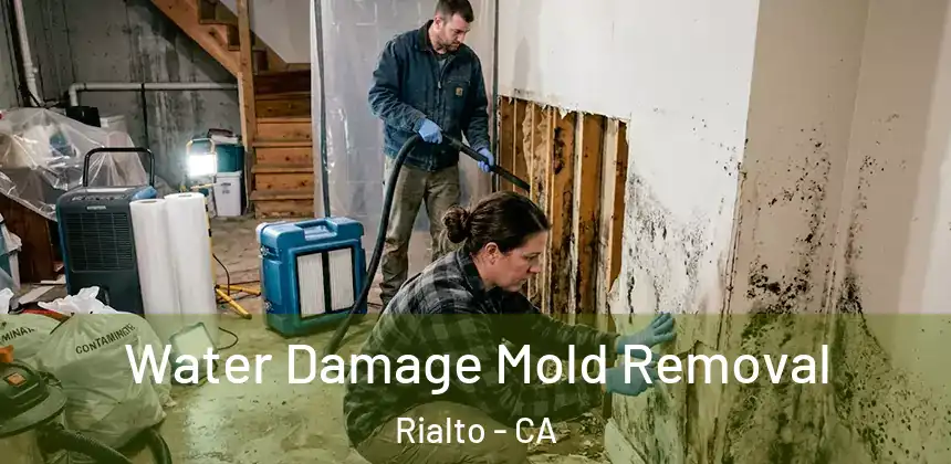 Water Damage Mold Removal Rialto - CA